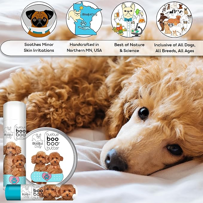 The Blissful Dog Poodle Boo Boo Butter, 16 oz.
