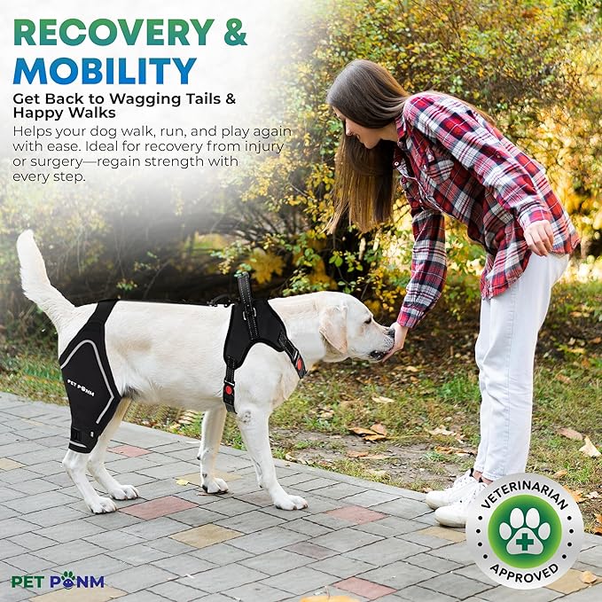 Comfortable Dog Knee Brace for Both Hind Legs with Harness - for ACL Tear, Luxating Patellae, Osteoarthritis & Instability - for Recovery & Injury Prevention in Active/Aging Dogs - (XSmall)