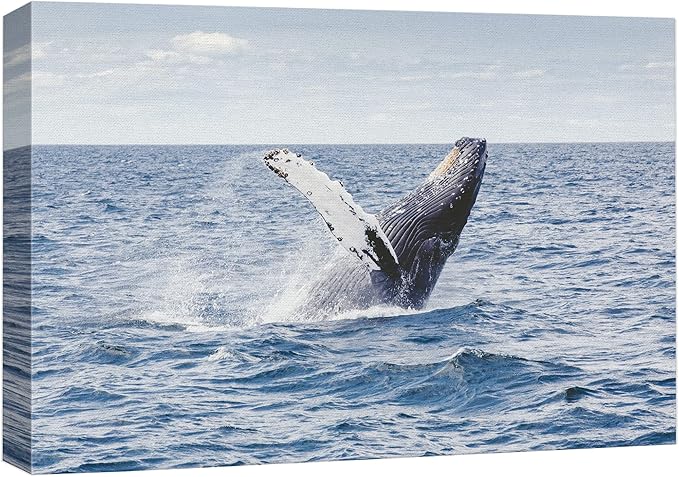 wall26 Canvas Print Wall Art Tropical Ocean Sea Water Horizon Blue Whale Nature Animals Photography Realism Rustic Scenic Landscape Wilderness Colorful for Living Room, Bedroom, Office - 24"x36"