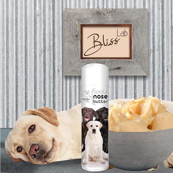 The Blissful Dog Labrador Retriever Nose Butter for Dry, Cracked Skin, Lick-Safe Dog Nose Balm with Moisturizing Shea Butter, Almond, Olive, and Essential Oils, Pet Supplies, Uncented, 0.50 oz.