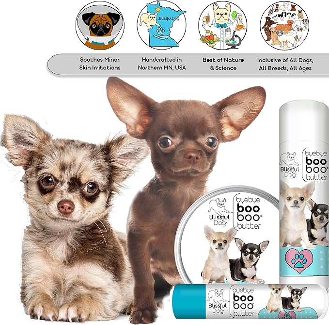 The Blissful Dog 8 oz TIN Chihuahua Booboo Butter