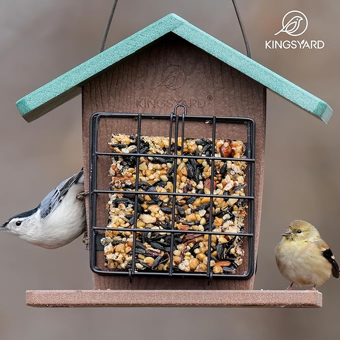 Kingsyard Recycled Plastic Double Suet Feeder with Rainproof Roof & Perch, Cage Suet Bird Feeders for Outdoors Hanging, Great for Woodpecker, Chickadee, Nuthatch (Green)
