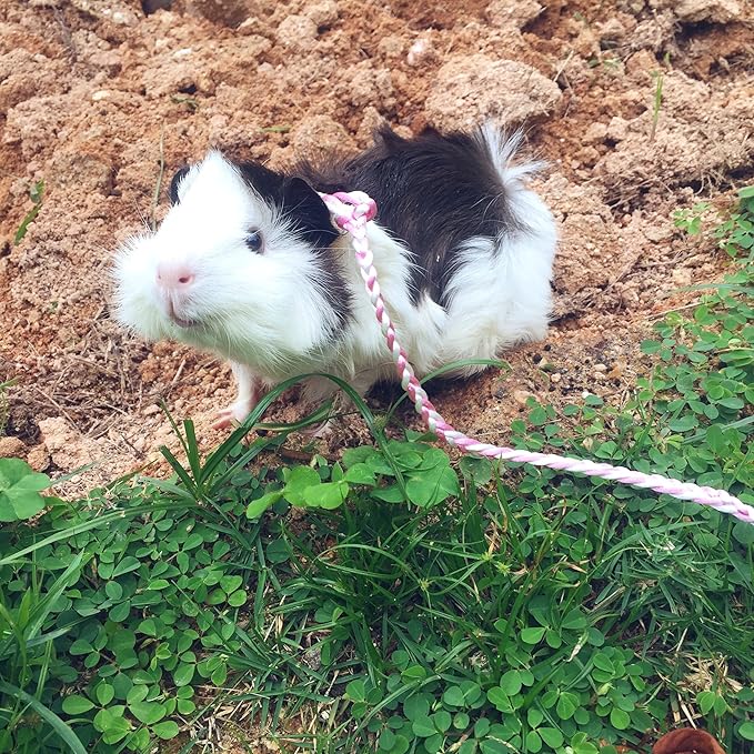 Hypeety 1PC Pet Rat Mouse Lead Leash Harness Adjustable Hamster Rat Mouse Adjustable Rope Safety Portable Design with an Extra Bell Random Color (Rope 55.12")