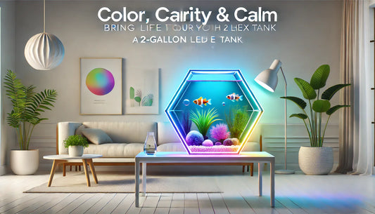 Color, Clarity & Calm — Bring Life to Your Space with a 2-Gallon LED Hex Tank