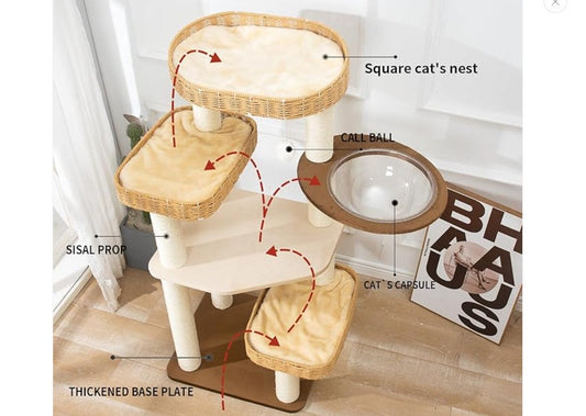 Elevate the Meal — Create a Chic Dining Station for Your Cat