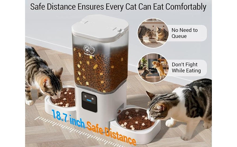 Elevate the Meal — Create a Chic Dining Station for Your Cat