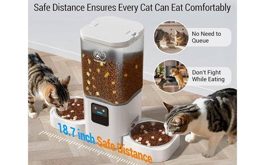Elevate the Meal — Create a Chic Dining Station for Your Cat