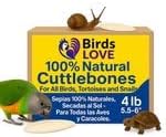 Birds LOVE Natural Cuttlebone for Birds & Reptiles – 100% Pure Sun-Dried Calcium Supplement – Supports Beak, Bone & Shell Strength – Safe Daily Use - 2 Pack with Holder, Size 5.5 to 6"