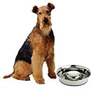 OurPet's Durapet Slow Feed Premium Stainless Steel Dog Bowl, Silver, Large (2040010302)