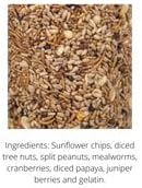 JCs Wildlife Premium Bird Seed Small Cylinder with Hole (Bugs, Nuts, & Berries)