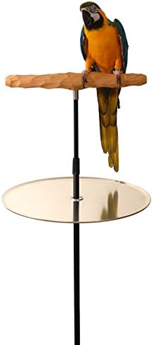Parrot Training Perch Stand with Potty Tray (T Perch, XXL)