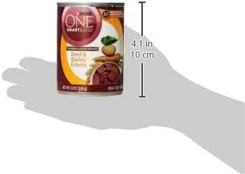 Purina ONE Natural Wet Dog Food Gravy, Tender Cuts in Gravy Beef and Barley Entrée - 13 Ounce (Pack of 12)