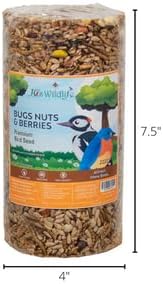JCs Wildlife Premium Bird Seed Small Cylinder with Hole (Bugs, Nuts, & Berries)