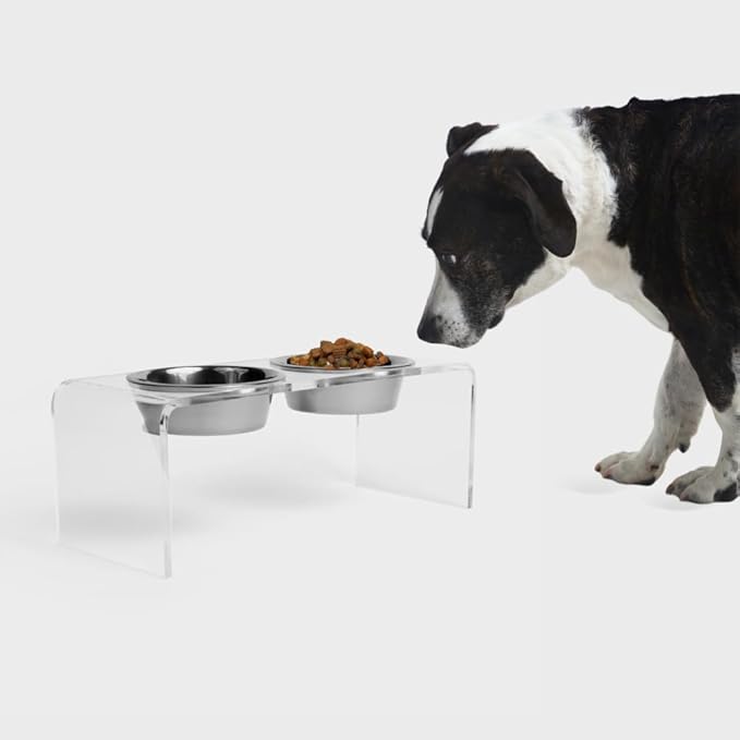 Hiddin Double Elevated Dog Bowl Stand for Medium or Large Dogs, All Breeds, Clear Acrylic 7 Inch Raised Dog Bowl Stand with Two Stainless Steel Bowls for Food and Water - 6.5 Cups Each Dish