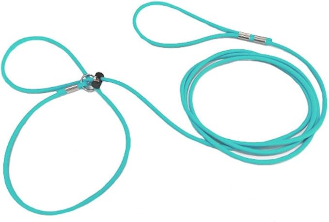 Mini Pig Harness & Leash -Adjustable- 12' in Length -Also fits Pot Bellied Pigs and Other Animals - Ferrets, Rabbits, Dogs, Cats (Teal)