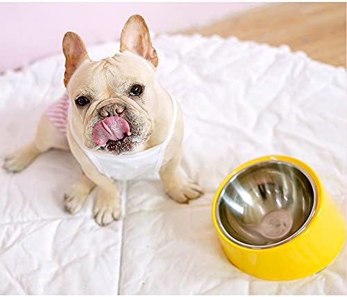 15° Tilted Dog Bowl for Small Dogs & Cats, Non-Slip No-Spill Pet Food Bowl, Detachable 2-in-1 Stainless Steel Slow Feeder & Water Dish, Easy Access, Black (Size S)