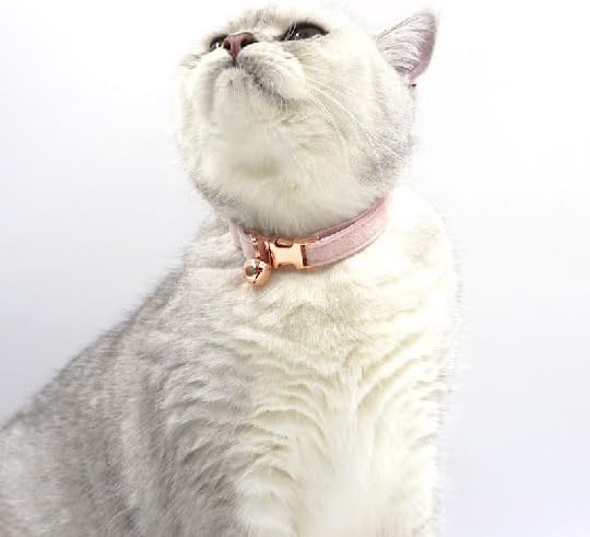 Pink Personalized Cat Collar with Name Tag & Bells Optional Bow-tie Cute Cat Collars for Girls Cats, Soft Durable Custom Kitten Collars for Small Large Cats(Pink)