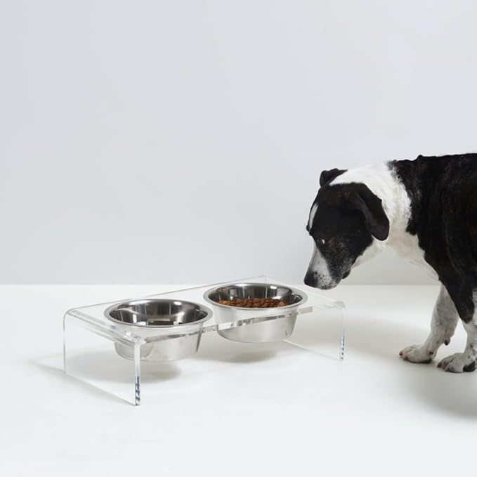 Hiddin Double Elevated Dog Bowl Stand for Small or Medium Dogs, All Breeds, Clear Acrylic 3.5 Inch Raised Dog Bowl Stand with Two Stainless Steel Bowls for Food and Water - 3.5 Cups Each Dish