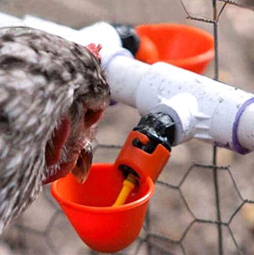 DoubleWood Fully Automatic Poultry Drinking Machine Chicken Drinking Cup, Chicken Drinking Watering Cups/Poultry Drinking Machine (24)