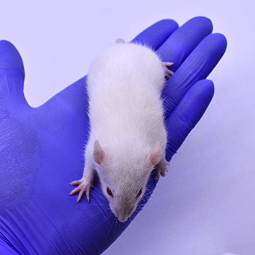 MiceDirect- 40 Rat Weanlings- Fresh Fast Frozen Food Feeders for SubAdult Ball Python Red Tail Boa Monitor Lizard Birds of Prey Pet Reptiles