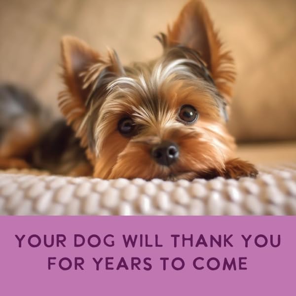 Health Extension Gently Cooked Beef & Potato Dog Food, Human-Grade and Shelf-Stable with Superfoods, Supports Digestion, Immunity, Skin & Coat, 9 oz Pouch (Pack of 5)