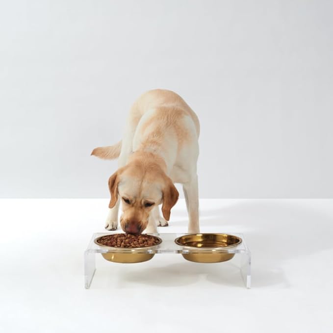 Hiddin Double Elevated Dog Bowl Stand for Small or Medium Dogs, All Breeds, Clear Acrylic 3.5 Inch Raised Dog Bowl Stand with Two Gold Stainless Steel Bowls for Food and Water - 3.5 Cups Each Dish