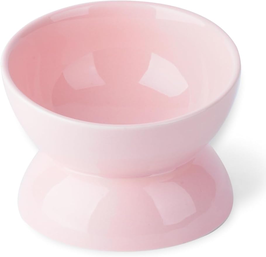 Cat Water Bowl, 16 OZ Ceramic Elevated Cat Bowls, 15° Tilted and Raised Pet Food Dish, Anti Vomiting Protect Pets' Spines and Whisker Fatigue