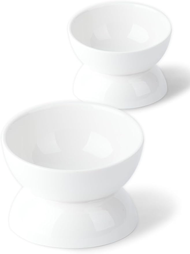 Cat Water Bowl, 16 OZ Ceramic Elevated Cat Bowls, 15° Tilted and Raised Pet Food Dish, Anti Vomiting Protect Pets' Spines and Whisker Fatigue