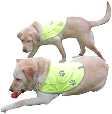 Dog Reflective Vest - Comfortable Jacket Safety Hunting, High Visibility for Dogs with Elastic Straps and Clasp Closure- Orange, Large