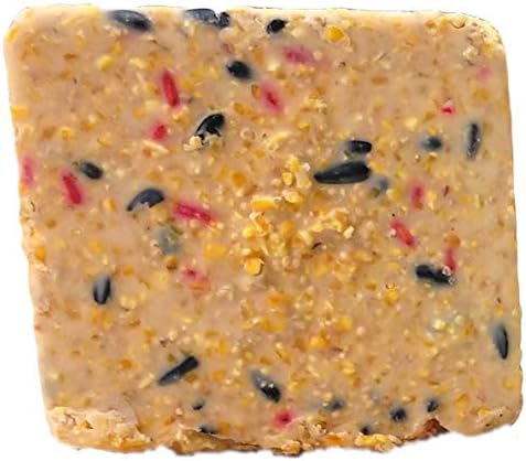 ST. ALBANS BAY SUET PLUS Suet Cake 15 Pack | 11 oz. Suet Cakes for Wild Birds| (Mega Mix)