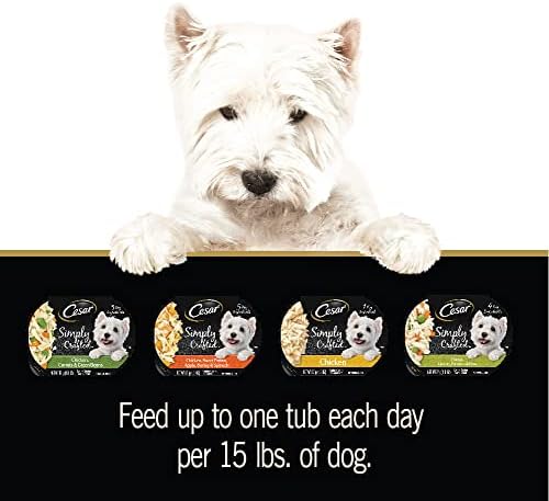 Cesar Simply Crafted Adult Wet Dog Food Meal Topper, Variety Pack, 1.3 oz Tubs (24 Count, Pack of 1)