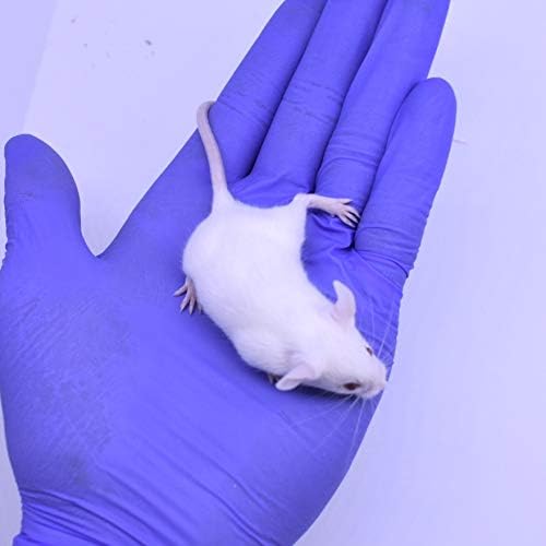 MiceDirect 10 Frozen Mice Combo Pack of 5 Weanlings and 5 Small Adult Feeders Snake Food for Mice for Adult Sand Boa Corn Milk Snakes (2-3 in)(Pack of 10)(160 Grams Min)