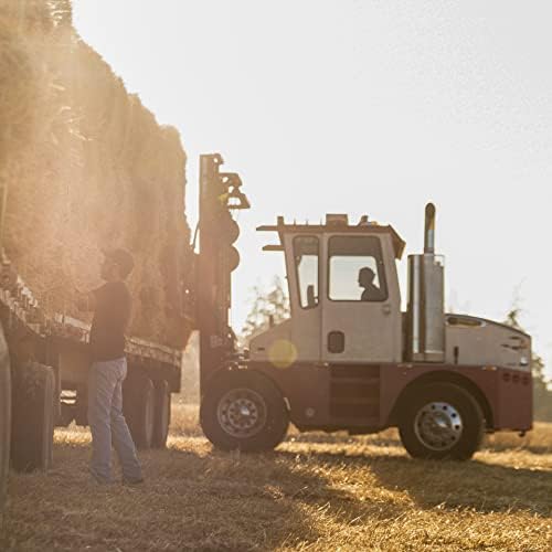 Blue Mountain Hay | Fresh Teff Grass Hay (15 Ounce) | Low NSC, High Fiber, Healthy Weight Management | High-Altitude Hay Pet Food for Rabbits, Guinea Pigs, Chinchillas, Hamsters, and Other Small Pets