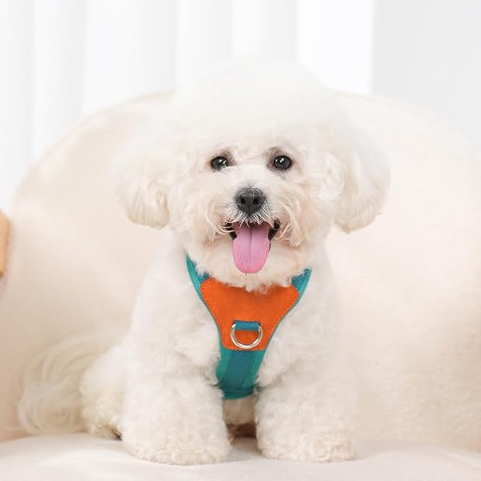 Blue Small No Pull Dog Harness for Small Dogs, Anti-Escape Easy Walk Puppy Harness with 2 Leash Clips, Adjustable Dog Vest Harness for Training Walking(Blue, S)