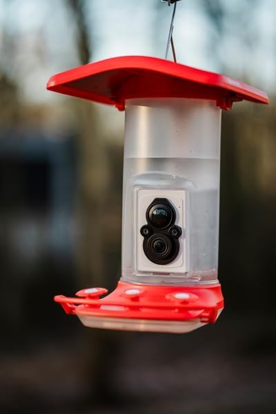 Smart Hummingbird Feeder: AI Bird ID, Wi-Fi and Solar Power, Stunning HD Images and Videos are Sent Directly to Your Phone, Easy to Clean and Hang - Best Smart Hummingbird Feeder
