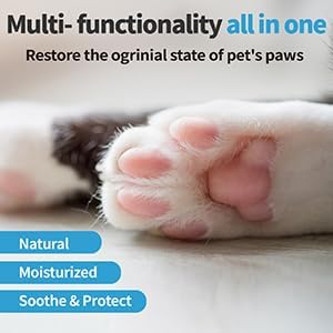 Mooncat Cat Paw Balm – Cat-Specific Paw & Nose Moisturizer for Dry Cracked Pads, Fast Absorbing Lick Safe Natural Botanical Care, Non Greasy Fragrance Free Protection & Repair - 2oz (60ml)