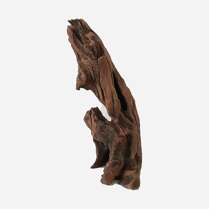 LYPHARD AQUARIUMS Natural Driftwood for Aquarium Decor, L7.87×W5.51×H9.45 Inches Large Drift Wood Decorations for Reptile Hide, Fish Tank, Optional Shapes