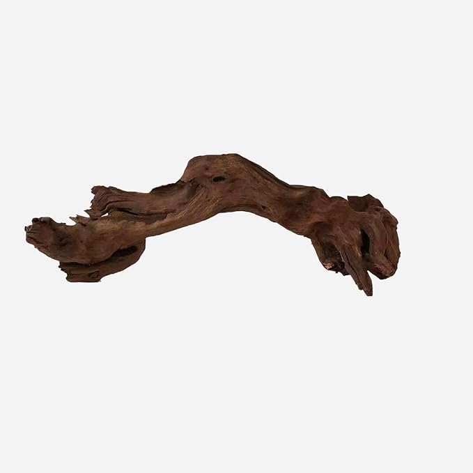 LYPHARD AQUARIUMS Natural Driftwood for Aquarium Decor, L20.87×W7.09×H6.69 Inches Large Drift Wood Decorations for Reptile Hide, Fish Tank, Optional Shapes