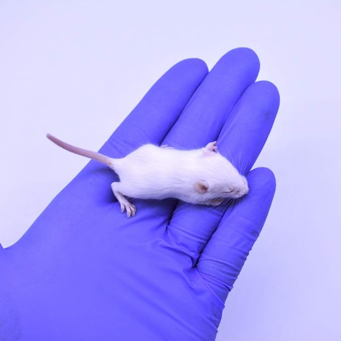 MiceDirect EST. 2003 80 Frozen Mice Combo Pack of 40 Fuzzies and Hopper Feeders Snake Food for Corn Snakes Ball Pythons Lizards (1.25-2 in)(440 Grams Min)