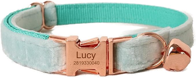 Cat Collar Personalized with Name Engraved and Bell, Customized Velvet Collars for Puppy Kittens (Aqua, L)