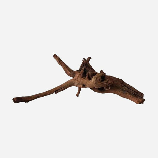 LYPHARD AQUARIUMS Natural Driftwood for Aquarium Decor, L19.69×W9.06×H8.27 Inches Large Drift Wood Decorations for Reptile Hide, Fish Tank, Optional Shapes