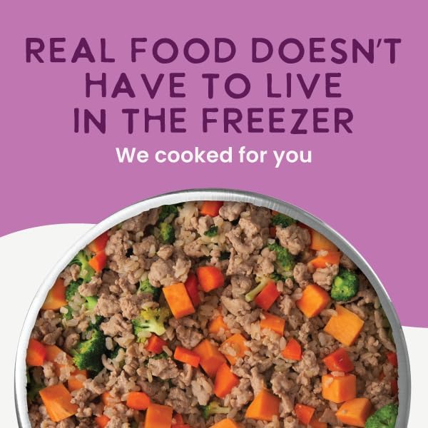 Health Extension Gently Cooked Lamb & Carrot Dog Food, Human-Grade & Shelf-Stable with Superfoods, Supports Digestion, Immunity, Skin & Coat, 9 oz Pouch (Pack of 10)