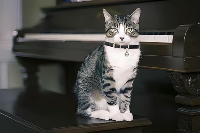 Gold XS Dog Collar with Bell, Soft Pu Leather Cat Collars Adjustable Buckle for XXS Extra Small Medium Tiny Female Male Boys Girls Pets Puppy Kitten Teacup Yorkie X-Small