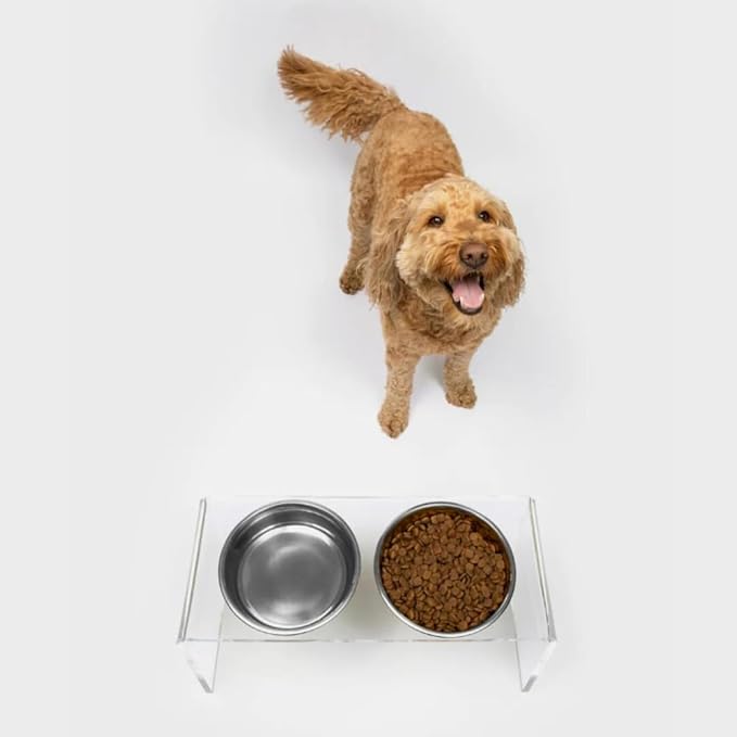 Hiddin Double Elevated Dog Bowl Stand for Medium or Large Dogs, All Breeds, Clear Acrylic 7 Inch Raised Dog Bowl Stand with Two Stainless Steel Bowls for Food and Water - 6.5 Cups Each Dish