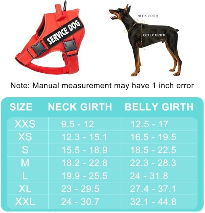 Custom Personalized No Pull Dog Harness with ID Name Phone Number and Rope Dog Leash Set, Heavy Duty Reflective Easy On Pet Vest Harness for X-Small Small Medium Large X-Large Dogs