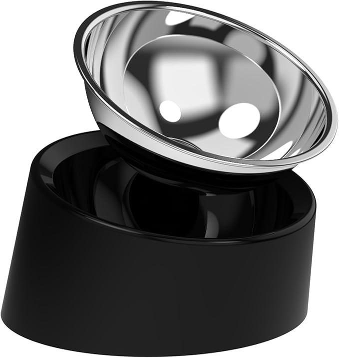 15° Tilted Dog Bowl for Large Breed Dogs, No-Spill Non-Skid Stainless Steel Bowl, Detachable 2-in-1 Feeder for Dogs with Cones or Long Ears, Easy Access Food Dish, Black (Size L)