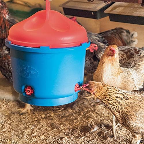 Premier 1 All-Season Heated Poultry Waterer for Chickens and Ducks - 3 Gallon