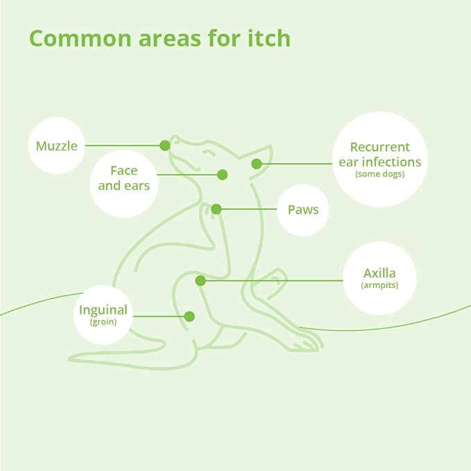 DermAllay Oatmeal Shampoo for Dogs, Cats and Horses, 1 Gallon