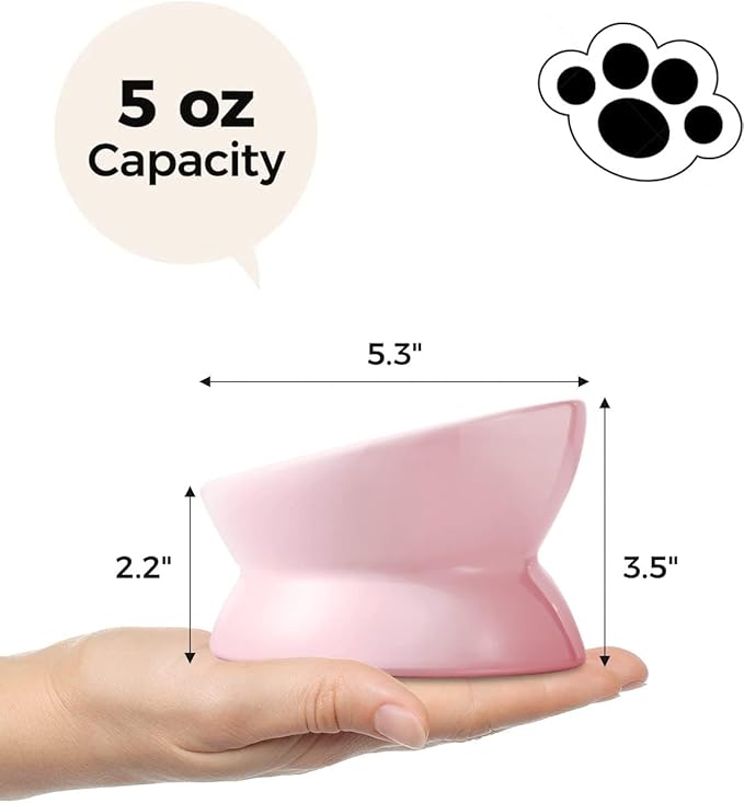 LoeJan Elevated Cat Food Bowl, 5 Oz Ceramic Raised and Tilted Water Bowl, Anti Vomiting and Protect Pets' Spines Dishes for Small Dog, Fat Faced Cat, Kitten (Pink, 2 Pack)