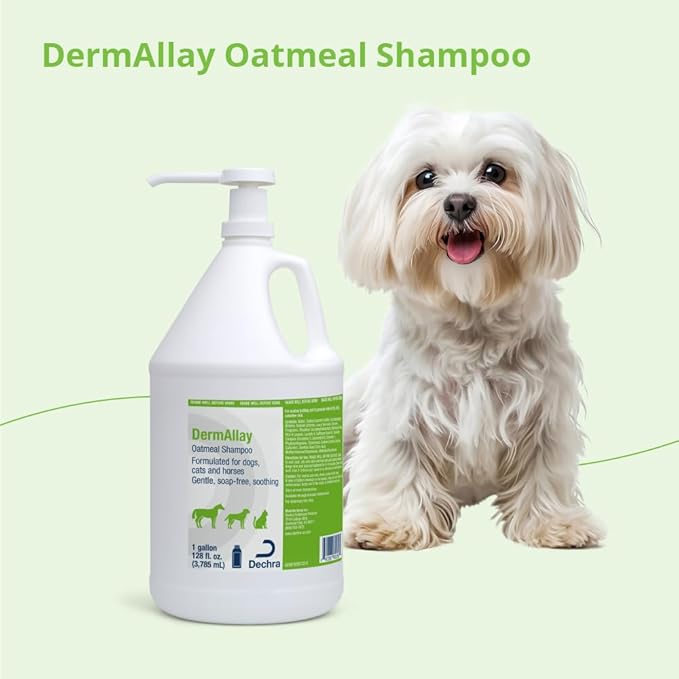 DermAllay Oatmeal Shampoo for Dogs, Cats and Horses, 1 Gallon